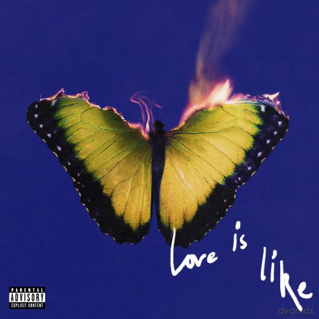Maroon 5: Love Is Like - Limited Bubblegum Edition [Winyl]