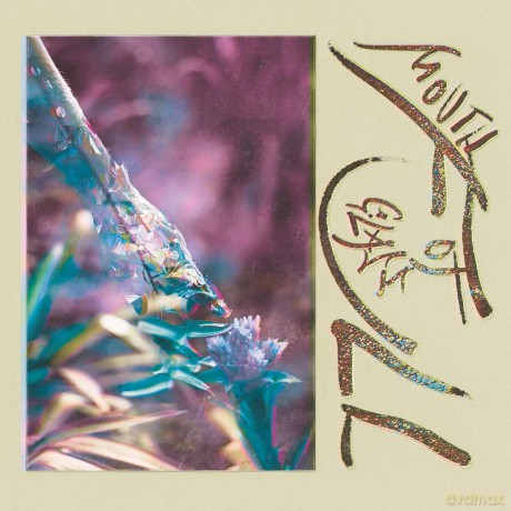 Macie Stewart-Mouth Full Of Glass (Purple Vinyl): Macie Stewart-Mouth Full Of Glass (Purple) [Winyl]