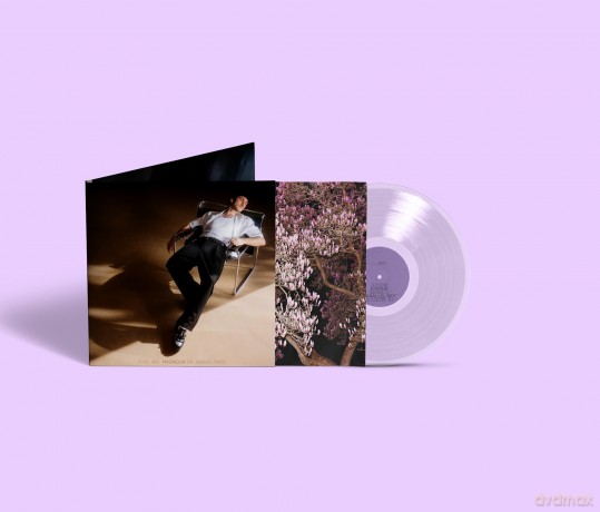 Ahoi Jules: Magnolia (The Bauhaus Tapes) (Crystal Cl [Winyl]