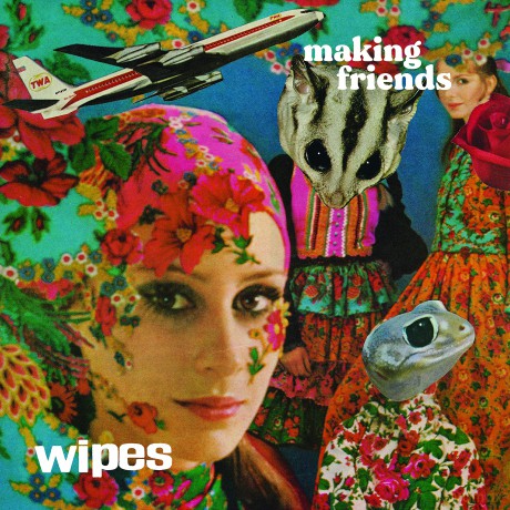 Wipes: Making Friends [Winyl]