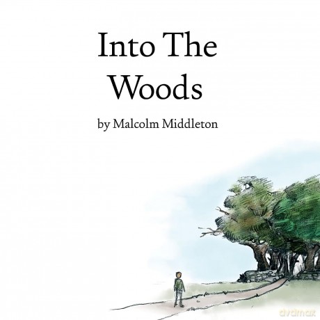 Malcolm Middleton-Into The Woods: Malcolm Middleton-Into The Woods [Winyl]