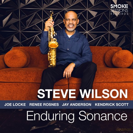 Steve Wilson: Enduring Sonance [Winyl]