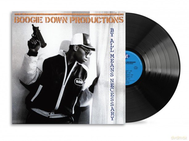 Boogie Down Productions: By All Means Necessary [Winyl]