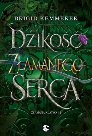 Dzikość złamanego serca - Brigid Kemmerer [KSIĄŻKA]