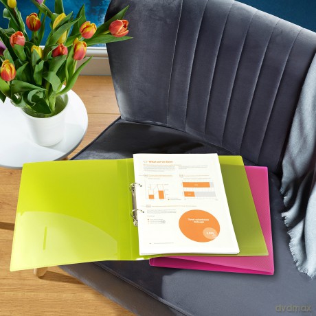 10 RAPESCO Ringbuch 2-Ringe grźn, bla