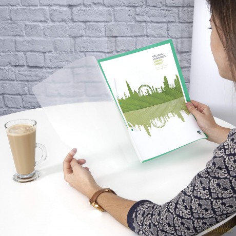 10 RAPESCO Schnellhefter ECO Kunststoff