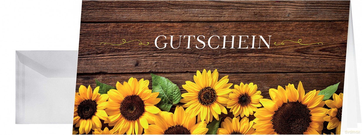 10 SIGEL Gutscheine Sunfield DIN lang