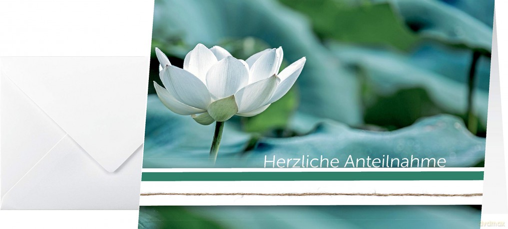 10 SIGEL Trauerkarten Water Lily DIN A6