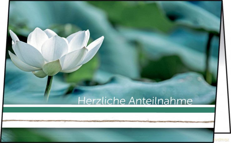 10 SIGEL Trauerkarten Water Lily DIN A6