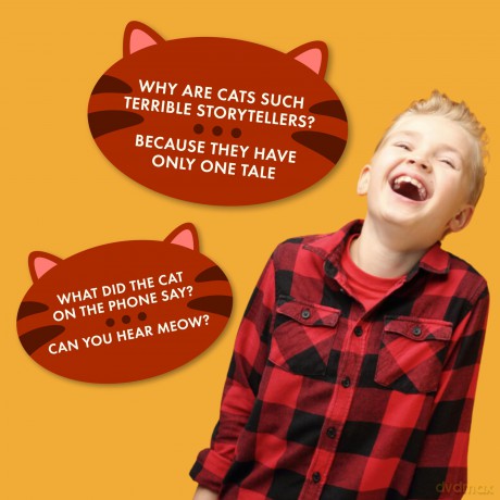 100 Cat Jokes [KSIĄŻKA]