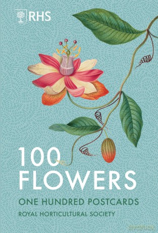100 Flowers [KSIĄŻKA]