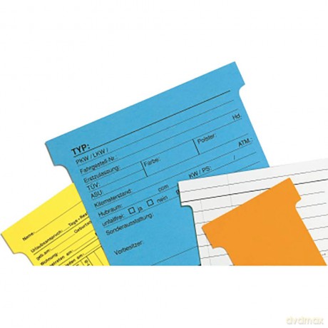 100 FRANKEN TK205 T-Steckkarten orange
