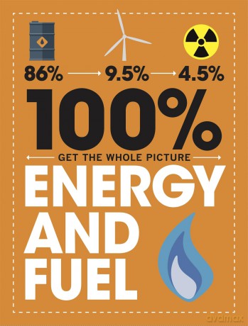 100 Get the Whole Picture Energy and Fuel [KSIĄŻKA]