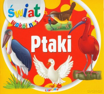 Świat wokół nas - Ptaki [KSIĄŻKA]