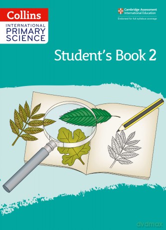 11 Prac11 Maths Flashcards [KSIĄŻKA]