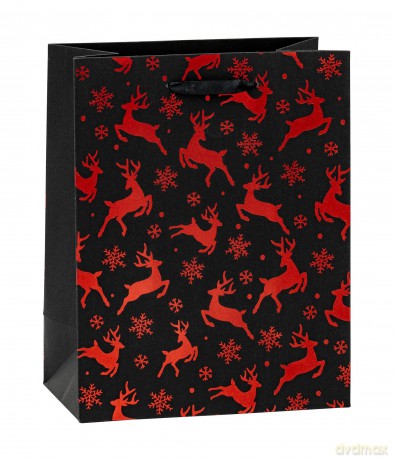 12 TSI Geschenktaschen WN Premium Motiv