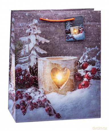 Tsi: 12 TSI Geschenktźten Weihnachten Serie 1