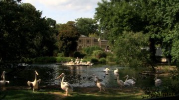 150 Jahre Klner Zoo [DVD]