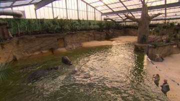 150 Jahre Klner Zoo [DVD]