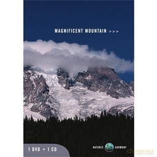 1Dvd+1Cd [2DVD]