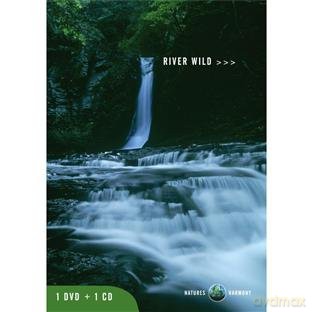 1Dvd+1Cd [2DVD]