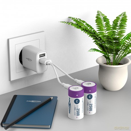 Ansmann: 2 ANSMANN Akkus 2500 Baby C 2.300 mAh