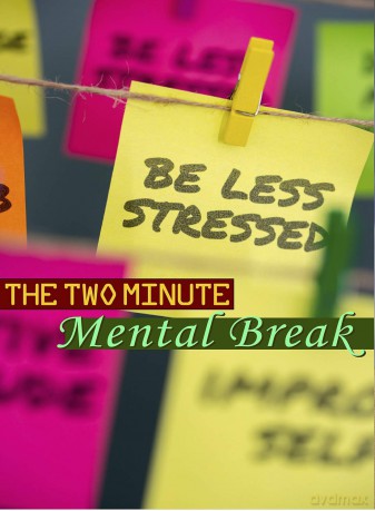 2 Minute Mental Break [DVD]