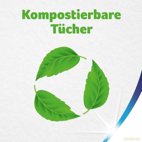 2 Zewa Kźchenrollen WISCH&WEG eXtra Lang