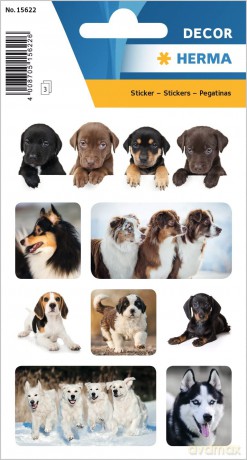 24 HERMA Aufkleber Hunde