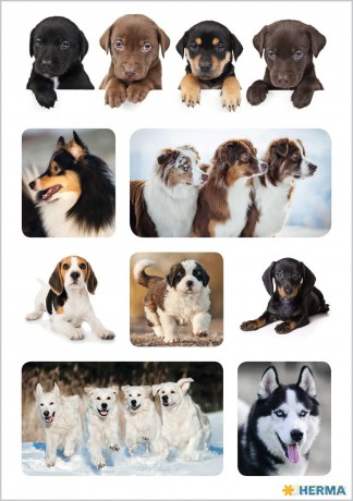 24 HERMA Aufkleber Hunde