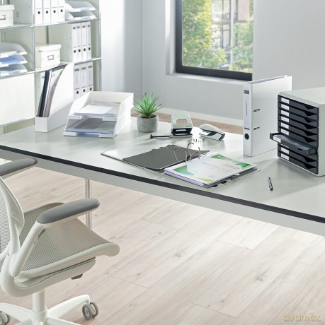 Leitz: 25 LEITZ Schnellhefter 4191 Kunststoff w