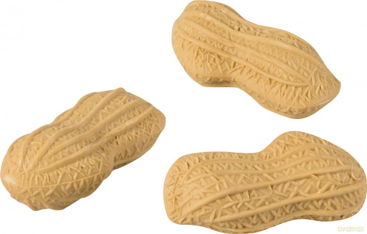 Brunnen: 3 BRUNNEN Radiergummis Erdnuss beige