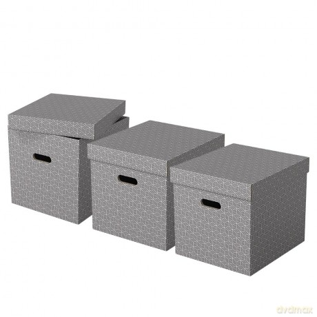 3 Esselte Home Aufbewahrungsboxen 33,0 l
