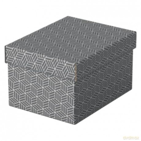 3 Esselte Home Aufbewahrungsboxen 6,5 l