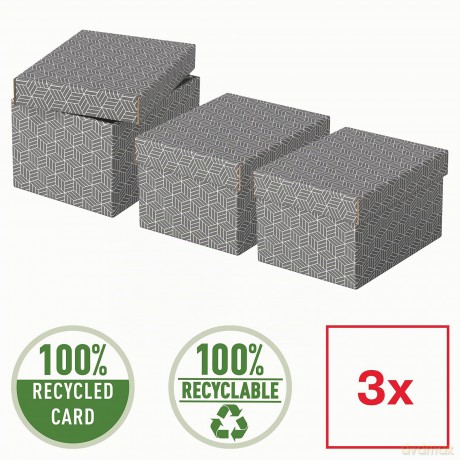 3 Esselte Home Aufbewahrungsboxen 6,5 l