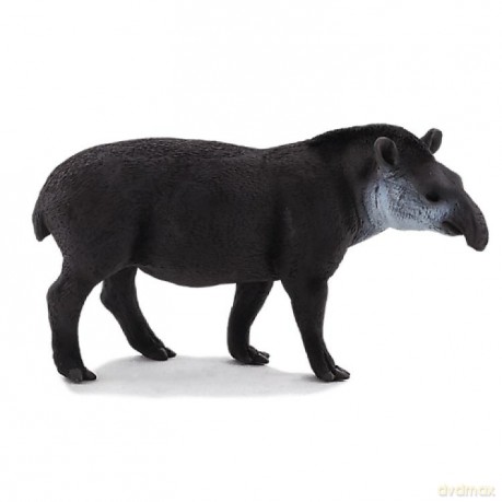 Tapir brazylijski ANIMAL PLANET