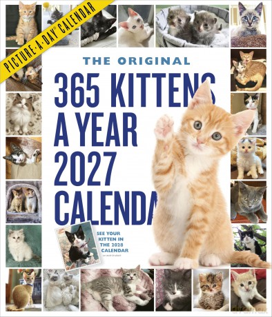 365 KittensAYear PictureADayÇĆ Wall Calendar 2027 [KSIĄŻKA]