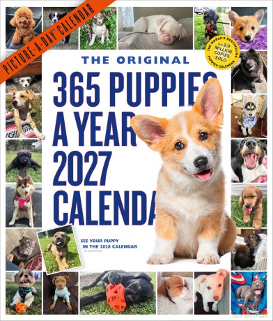 365 PuppiesAYear PictureADayÇĆ Wall Calendar 2027 [KSIĄŻKA]