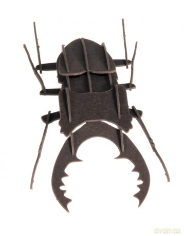 3D Paper Model Beetle