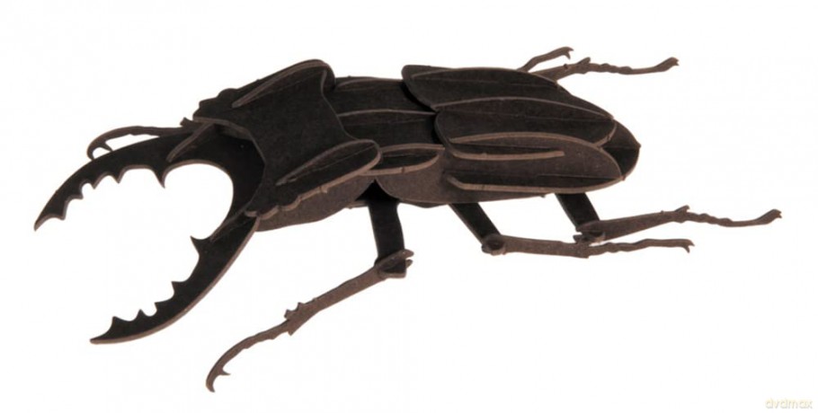 3D Paper Model Beetle