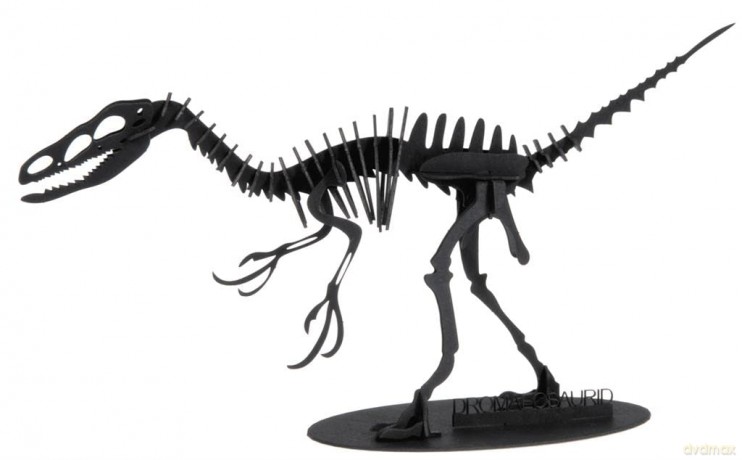 3D Paper Model Dromaeosaurus