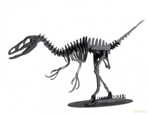3D Paper Model Dromaeosaurus