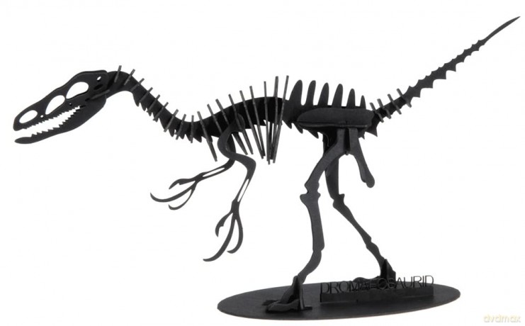 3D Paper Model Dromaeosaurus