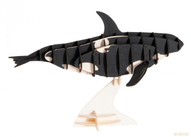 3D Paper Model Orca