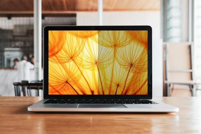 3M Bright Screen Blickschutz 13.3" 16:1