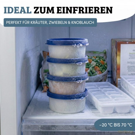 4 WESTMARK Frischhaltedosen Trio 3,9 cm