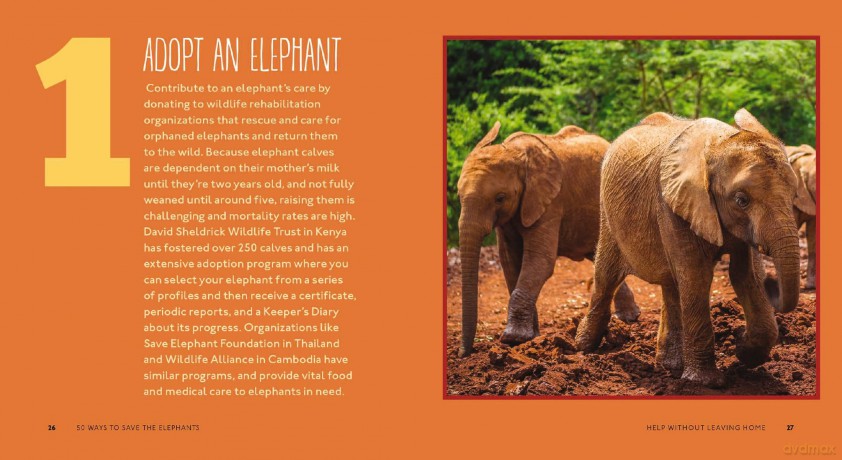 50 Ways To Save Elephants [KSIĄŻKA]