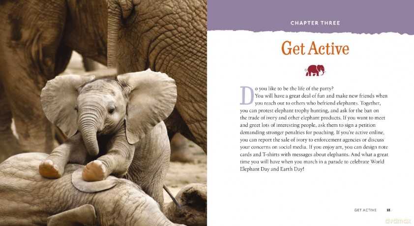 50 Ways To Save Elephants [KSIĄŻKA]