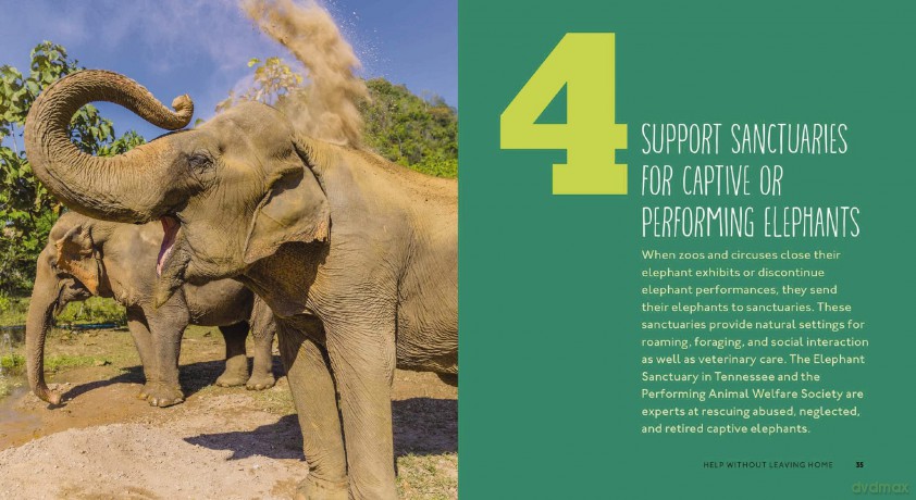 50 Ways To Save Elephants [KSIĄŻKA]