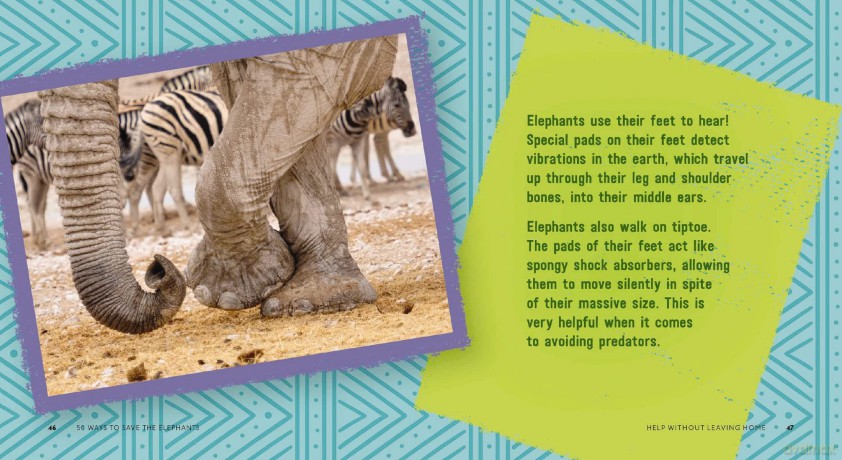 50 Ways To Save Elephants [KSIĄŻKA]